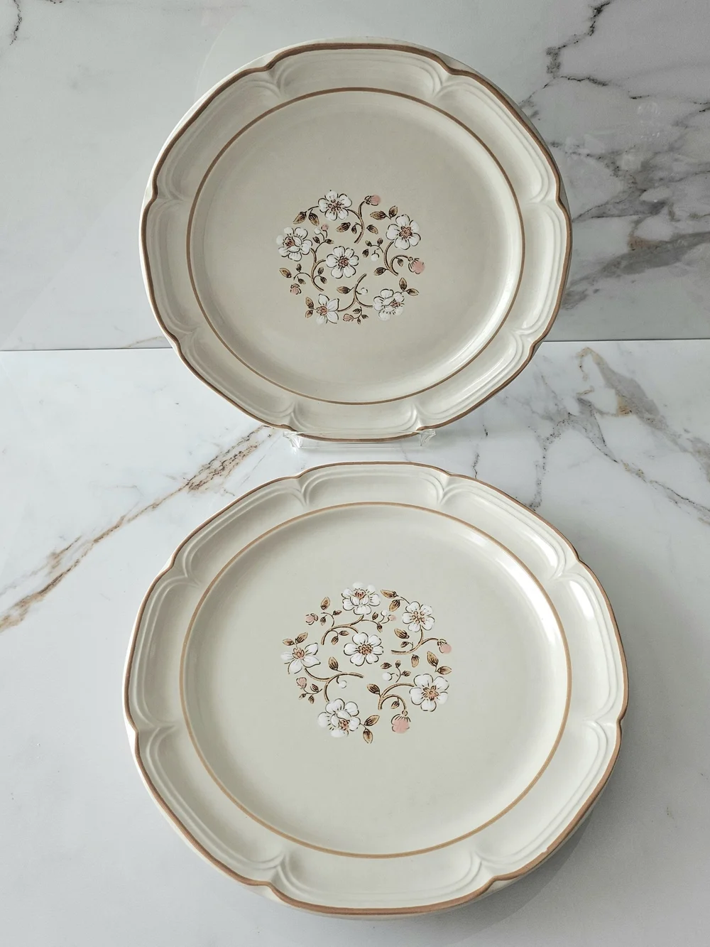 Covington Cream Floral Scalloped Dinner Plates with Gold Rim